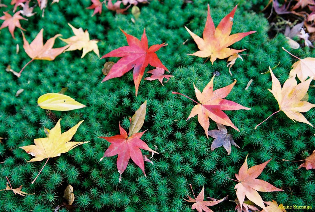 Kyoto Home Higashikujo Extérieur photo